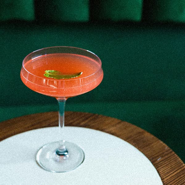 a cosmo sitting on a table
